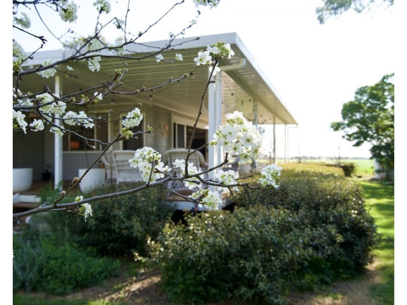 57 Tirzah Street., Moree NSW 2400