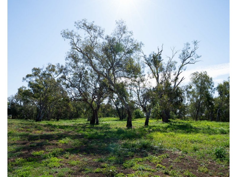 226 Stonnington Lane, Moree NSW 2400