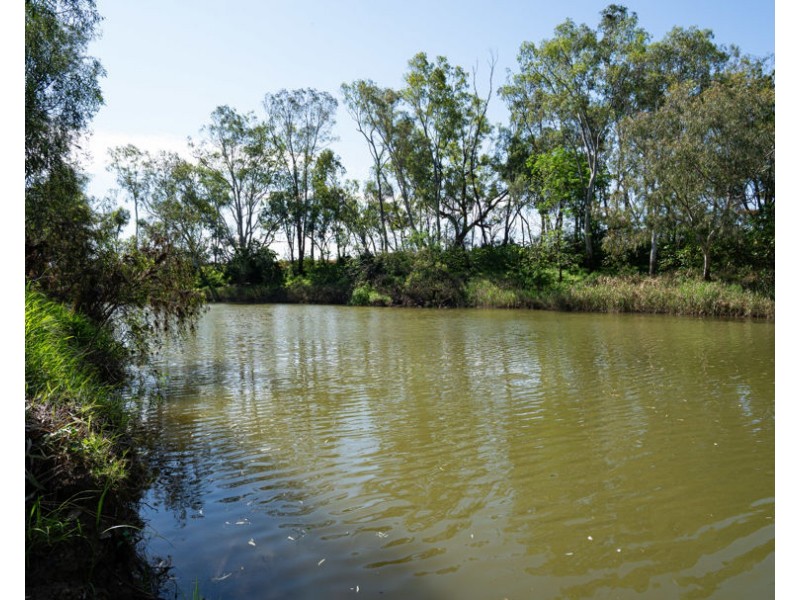 226 Stonnington Lane, Moree NSW 2400
