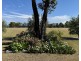 155 River Road, Pallamallawa NSW 2399
