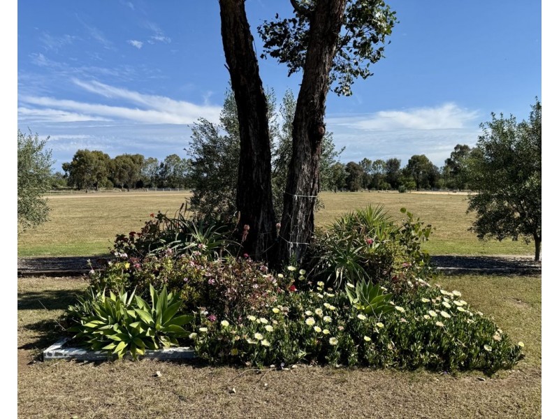 155 River Road, Pallamallawa NSW 2399