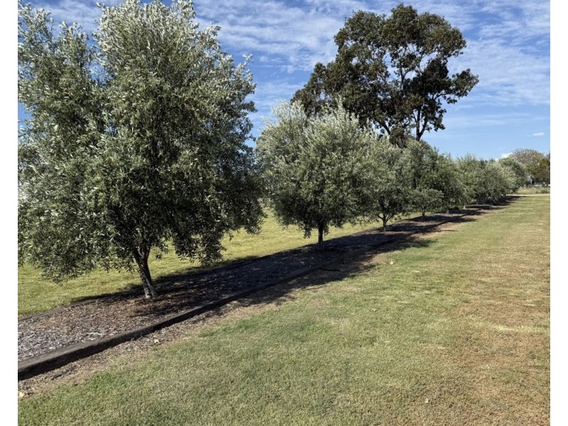 155 River Road, Pallamallawa NSW 2399