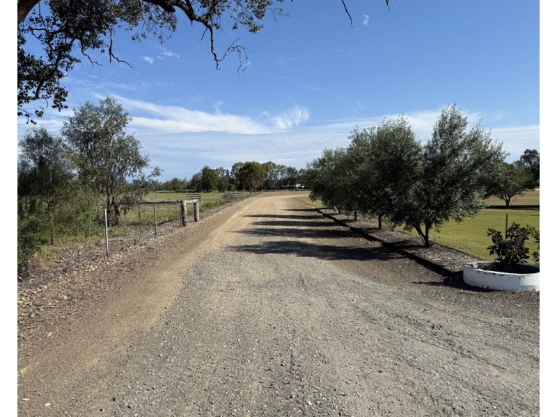 155 River Road, Pallamallawa NSW 2399