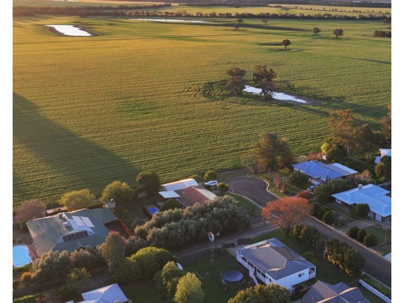 52 Tirzah Street, Moree NSW 2400