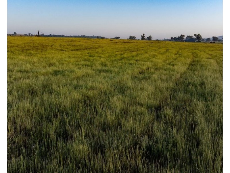 Garrambeel, Bingara NSW 2404