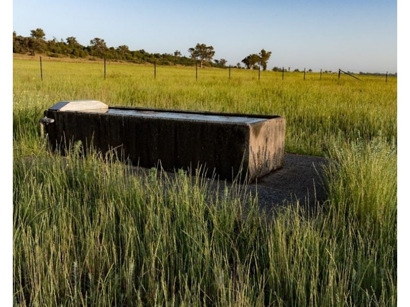 Garrambeel, Bingara NSW 2404