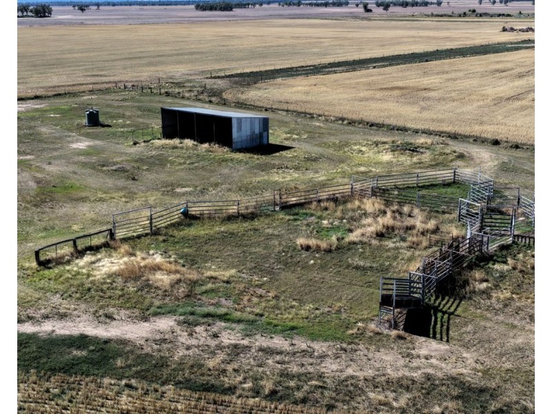 18345 Gwydir Highway, Pallamallawa NSW 2399