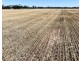 18345 Gwydir Highway, Pallamallawa NSW 2399