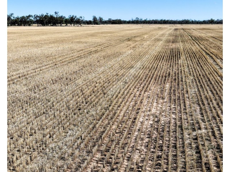 18345 Gwydir Highway, Pallamallawa NSW 2399