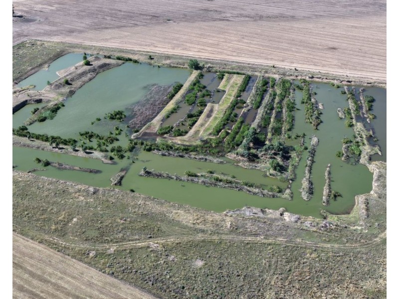 18345 Gwydir Highway, Pallamallawa NSW 2399