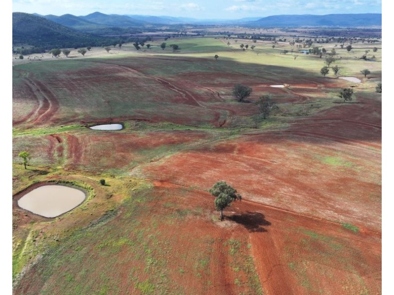 Karamah, Bingara NSW 2404