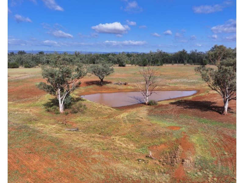 Karamah, Bingara NSW 2404