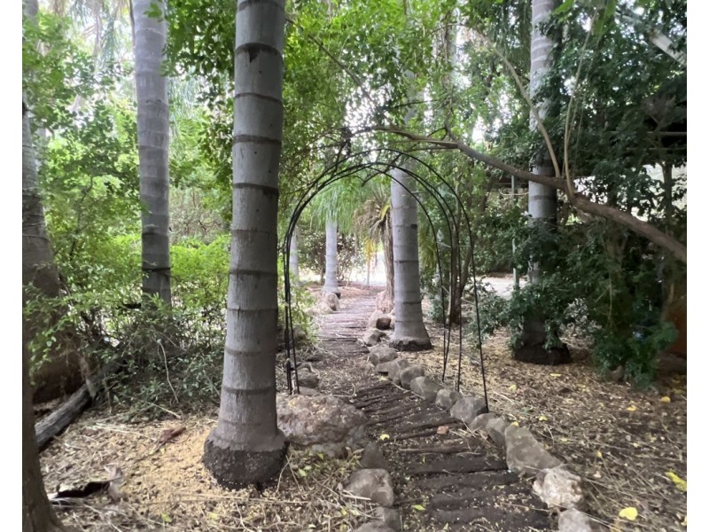 5 Cameron Place, Moree NSW 2400