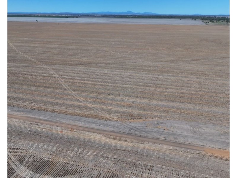 Lot 101 DP 1168983 Cheecum Road, Moree NSW 2400