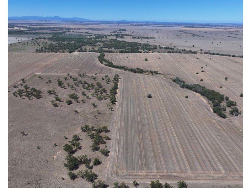 Lot 101 DP 1168983 Cheecome Road, Moree NSW 2400