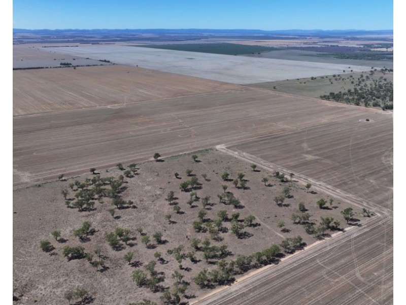 Lot 101 DP 1168983 Cheecome Road, Moree NSW 2400