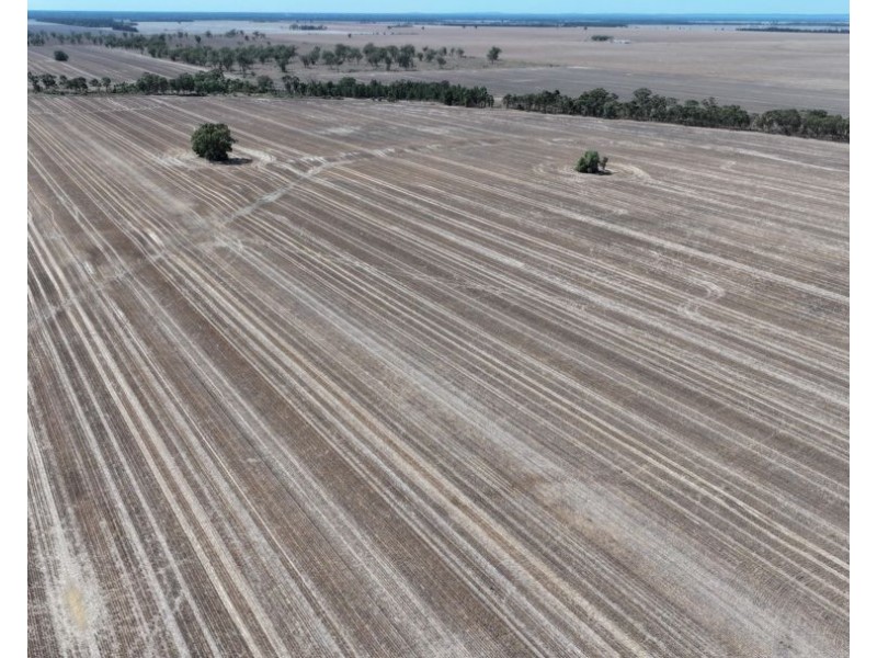 Lot 101 DP 1168983 Cheecome Road, Moree NSW 2400