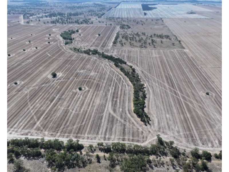 Lot 101 DP 1168983 Cheecome Road, Moree NSW 2400