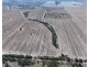 Lot 101 DP 1168983 Cheecome Road, Moree NSW 2400