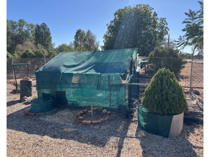 22 Walgett Street, Cumborah NSW 2832