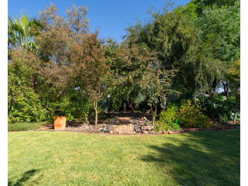 31 Chester Street, Moree NSW 2400