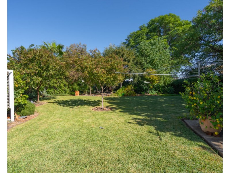 31 Chester Street, Moree NSW 2400