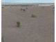Narella Park & The Block, Walgett NSW 2832