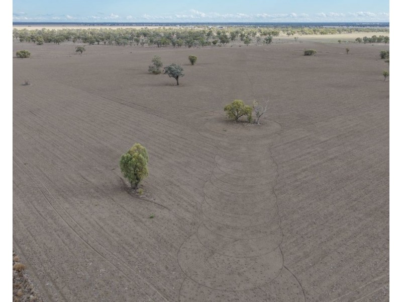 Narella Park & The Block, Walgett NSW 2832