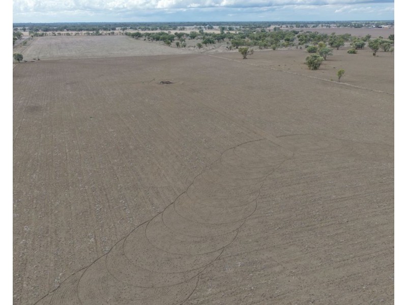 Narella Park & The Block, Walgett NSW 2832
