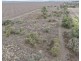 Narella Park & The Block, Walgett NSW 2832