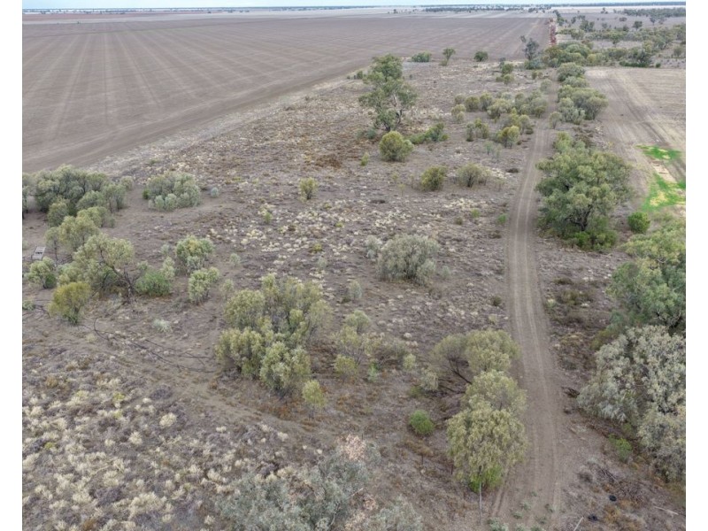 Narella Park & The Block, Walgett NSW 2832