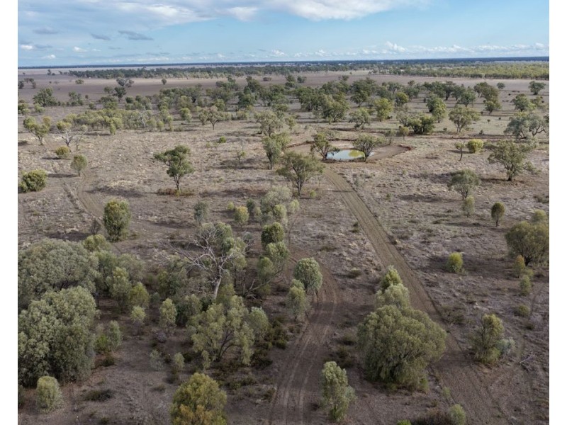 Narella Park & The Block, Walgett NSW 2832