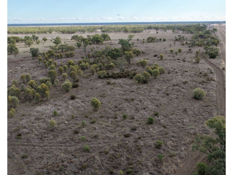 Narella Park & The Block, Walgett NSW 2832