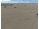 Narella Park & The Block, Walgett NSW 2832