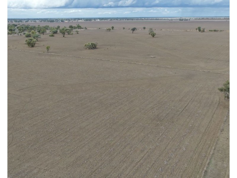 Narella Park & The Block, Walgett NSW 2832