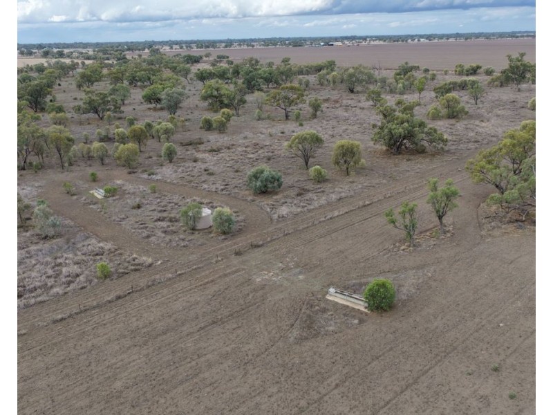 Narella Park & The Block, Walgett NSW 2832