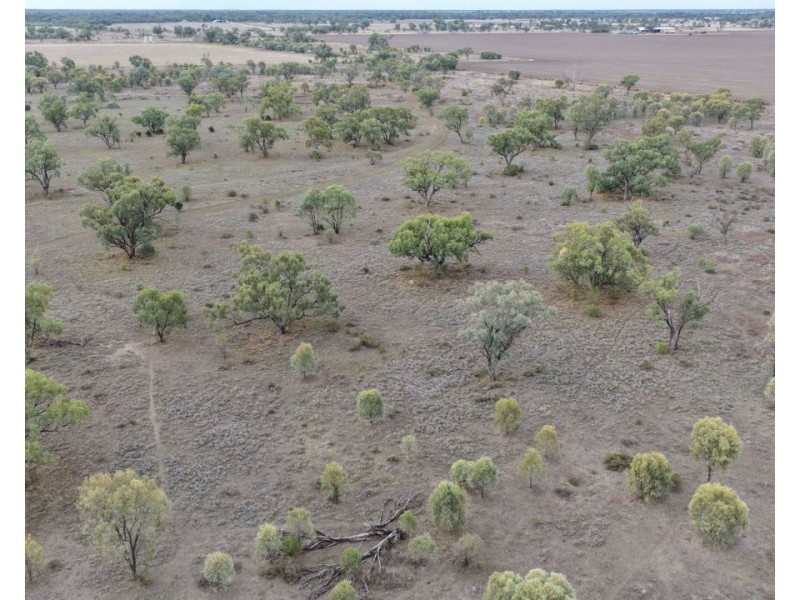Narella Park & The Block, Walgett NSW 2832