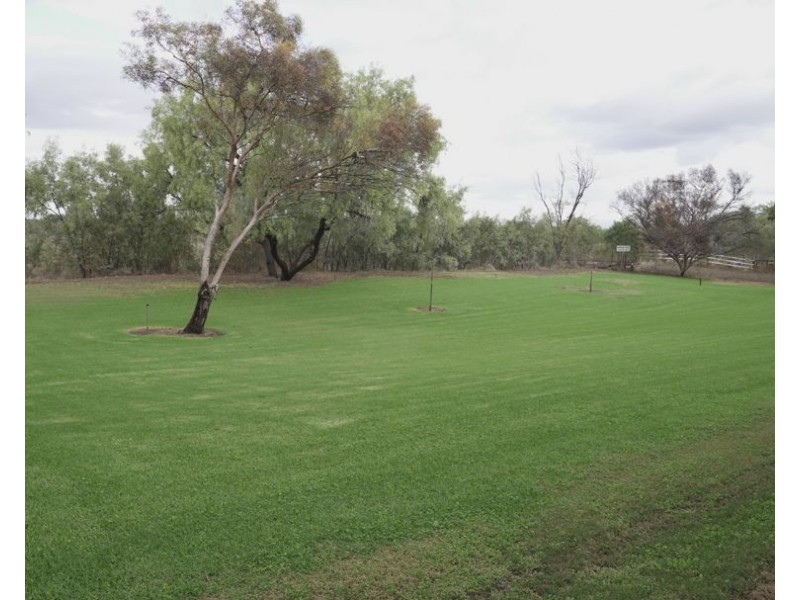 Narella Park & The Block, Walgett NSW 2832