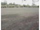 Narella Park & The Block, Walgett NSW 2832