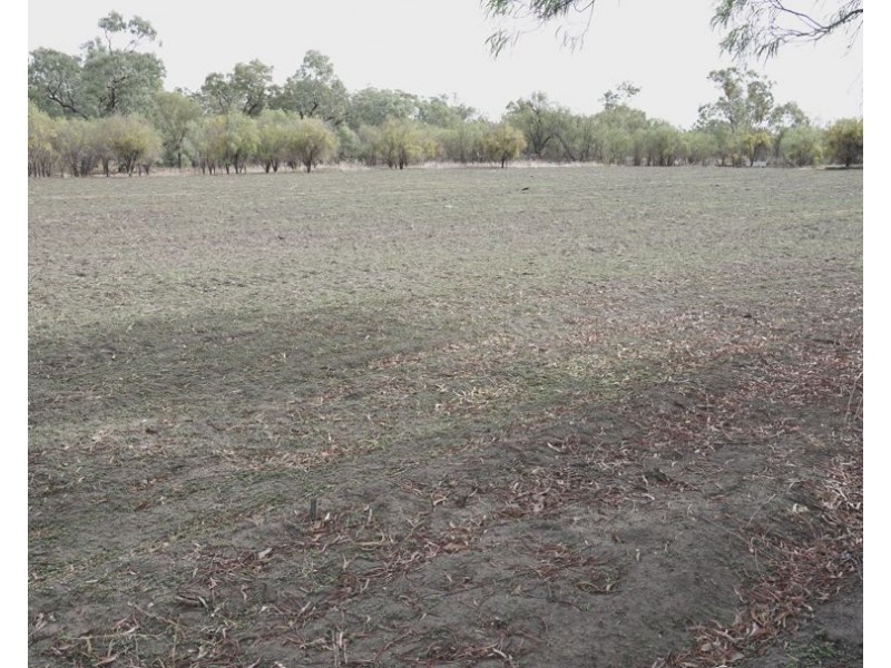 Narella Park & The Block, Walgett NSW 2832
