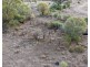 Narella Park & The Block, Walgett NSW 2832