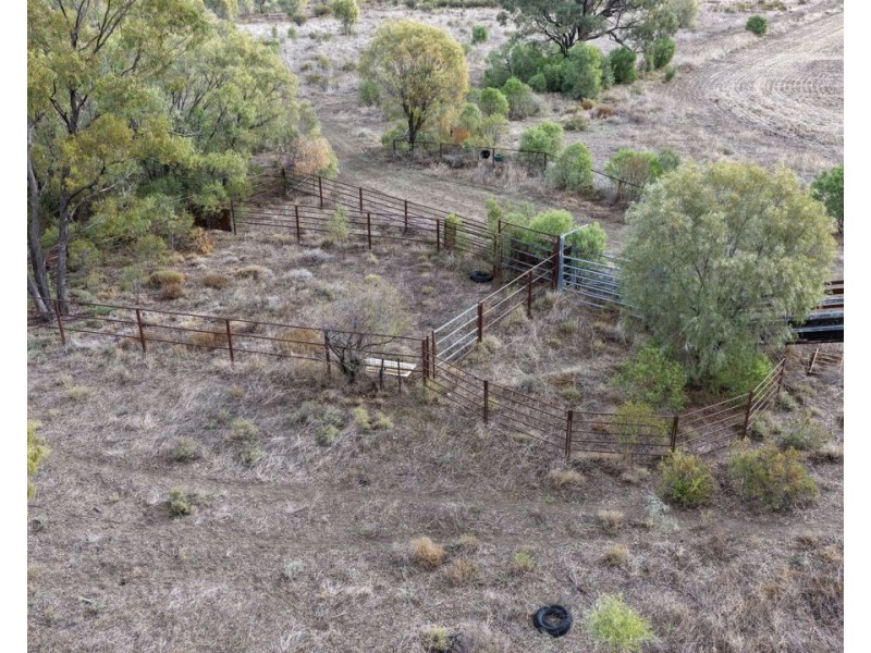 Narella Park & The Block, Walgett NSW 2832