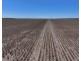 3093 Cumberdoon Way “Warrindilla”, Walgett NSW 2832