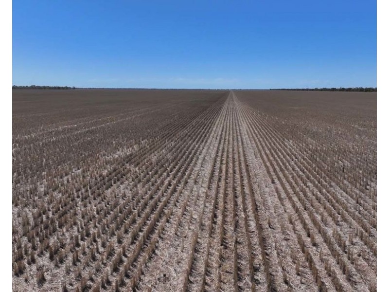3093 Cumberdoon Way “Warrindilla”, Walgett NSW 2832