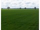 141 Cheecome Road, Moree NSW 2400