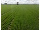 141 Cheecome Road, Moree NSW 2400