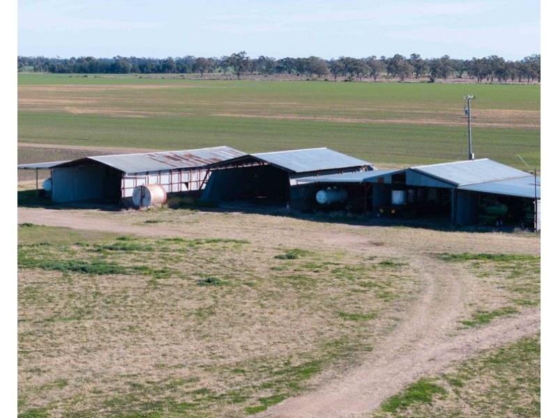141 Cheecome Road, Moree NSW 2400