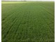 141 Cheecome Road, Moree NSW 2400
