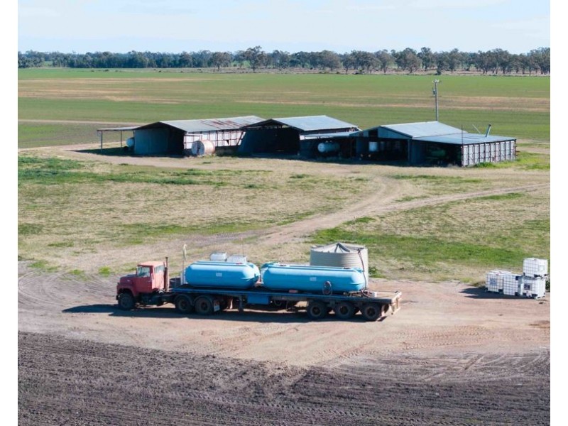 141 Cheecome Road, Moree NSW 2400