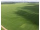 141 Cheecome Road, Moree NSW 2400